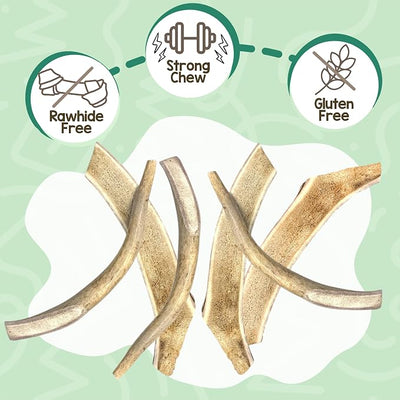 Nature Gnaws Antlers for Dogs (1Lb) - Mix of Elk and Deer Antler - Variety of Split and Whole Pieces - Long Lasting for Aggressive Chewers and Large Dogs (Packing May Vary)