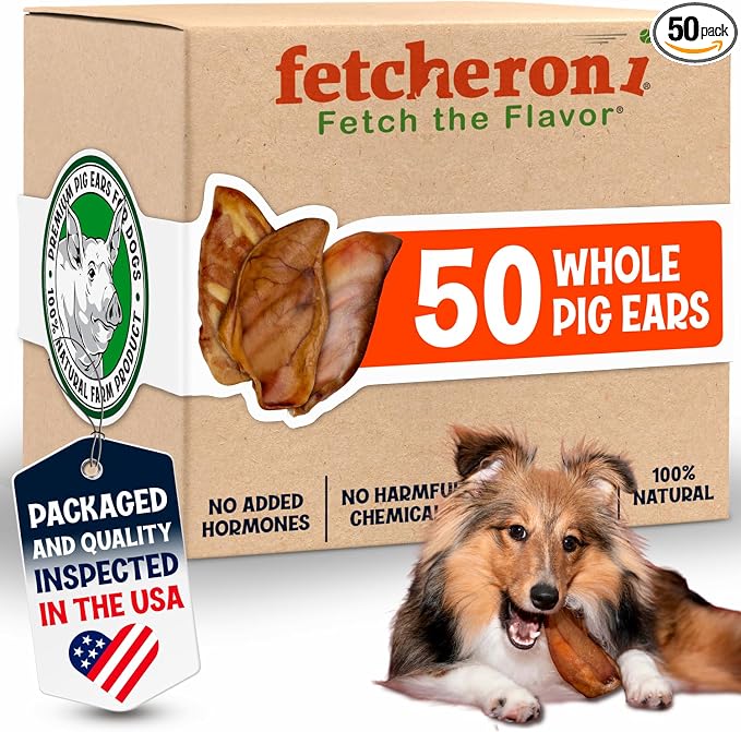 FETCHERONI Whole Pig Ears for Dogs Large - 50 Pack Long Lasting Dog Chews – One Ingredient Delicious All Natural Flavor – Easy to Digest Dog Treats for Large Dogs - Great for Teeth and Gums