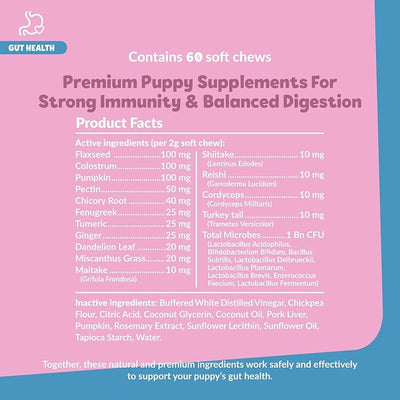 Snuggle Puppy Puppy Bites Gut Health Supplement - Dog Probiotics & Prebiotics for Gut Health - Pet Supplement and Supplies for Dog Health - Digestive Health Support - 60 Soft Chews