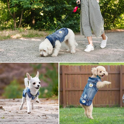 Dog Denim Jacket with Embroidered Daisy, Ripped Vintage Jean Vest for Small Dogs, Puppy, Pugs, Chihuahuas, Spring Summer Fall Festival Outfit, XS (Fits Chest 9-10")