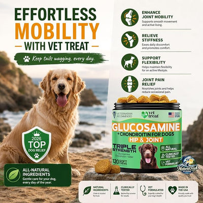 Glucosamine for Dogs – Dog Joint Supplement with Chondroitin, MSM, Turmeric & Hemp Seed Oil – Hip and Joint Supplement for Dogs, Mobility Support, Senior Dog Joint Chews – Made in USA – 120 Soft Chews