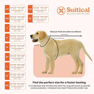 Suitical Recovery Suit for Dogs - Dog Surgery Recovery Suit with Clip-Up System - Breathable Fabric for Spay, Neuter, Skin Conditions - 16.9-20.1 Inch Neck to Tail, 23-34 Inch Chest - Small, Black