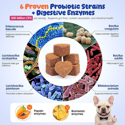 Probiotics Chews for Dogs Gut Digestive Health, Dog Upset Stomach Relief and Occasional Diarrhea, Boost Immune Systems - Prebiotics and Probiotics for Dogs, Salmon Flavor, 100 Soft Chews