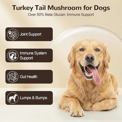 Organic Turkey Tail Mushroom for Large Dogs - Over 50% Beta Glucan - 10-in-1 Mushroom Powder for Immune & Gut Support - Dog Mushroom Supplements for Lumps and Bumps - Chicken Flavor, 200g