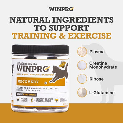 WINPRO Recovery Soft Chews for Dogs, Plasma-Powered to Support a Healthy Inflammatory Response, and Dog Training Support for Competition, Sport, and Agility Dogs, 60 Count