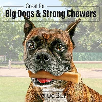 ValueBull Himalayan Yak Cheese Dog Chews, Large, 10 ct - Long Lasting for Aggressive Chewers, All Natural, Healthy & Safe, Low Odor Nepal Yak Milk Chews