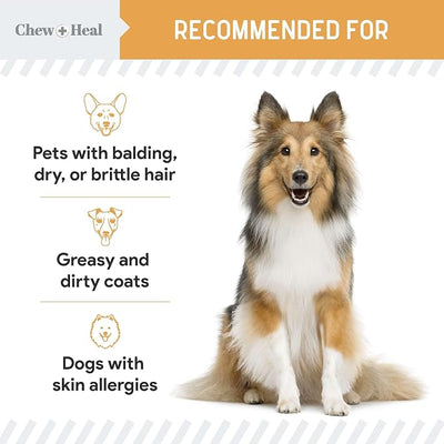 Salmon Oil for Dogs -60 Soft Chew Omega Treats Skin and Coat Supplement for Dogs -Fish Oil Blend of Fatty Acids, Omega 3 and 6, Vitamins, Antioxidants, Minerals -Made in USA