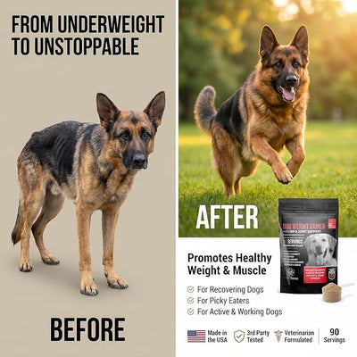 Dog Weight Gainer with Hip and Joint Support - Weight Gain Supplements for Dogs - Canine and Dog Muscle Builder - 90 Servings of Delicious BBQ Beef Flavor Powder - Made in The USA