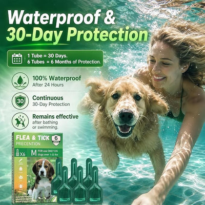 6Pcs Topical Dog Care Drops for Small Dogs 5-22 lbs, Monthly Outdoor Comfort Liquid for Dogs, Waterproof Pet Skin Care Formula, Easy-to-Apply Dog Care Drops, 6 Month Supply