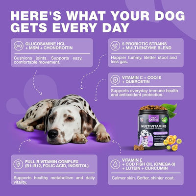 Dog Vitamins 15 in 1 - Dog Multivitamin Chews with MSM for Hip & Joint Health - Dog Supplement for Itchy Skin Relief - Multivitamin for Dogs Immune Support with Enzymes - Skin & Coat, Mobility Support