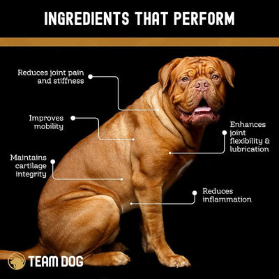 TEAM DOG Hip and Joint Chews for Dogs | Arthritis & Joint Support Supplements for Dogs | MSM, Chondroitin & Glucosamine | Small, Medium & Large Breed | Chicken, Duck & Pea Flavor | 120 Count