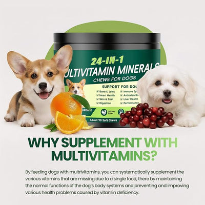 24-in-1 Dog Vitamins and Supplements, Dog Multivitamin Chewable with Chondroitin Probiotics Omega-3 Glucosamine for Dogs Skin Coat Hip and Joint Heart Gut Liver Brain Eye Immune Support, 90 Chews