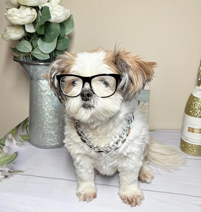 C16 Dog Pet Cat Costume Set Retro Glasses Sunglasses + Chain Adjustable for Small-Medium Dogs Approximately 12-30 lbs Party Prop Cosplay Photoshoot (80s Black-Clear Lens Glasses+ Silver Chain)