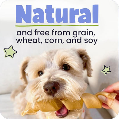 Pawstruck Natural 5-7" Beef Collagen Sticks for Dogs – Long-Lasting Rawhide Alternative, High Protein & Low Fat with Chondroitin & Glucosamine – 10 Pack