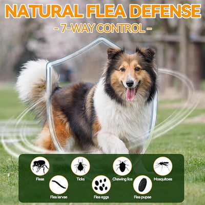 Carmelie Flea and Tick Prevention for Dogs - 200 Chews Natural Dog Flea and Tick Support, Oral Flea Supplement for All Dogs, Supports Healthy Skin & Coat, Puppy Flea Protection - Chicken Flavor