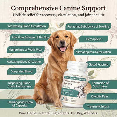 Yun nan Sanqi Capsules for Dogs - Pure Root Powder with Ajuga for Hemangiosarcoma, Hemoabdomen, Pericardial Effusion, Ulcer-Related Bleeding, Cancer Bleeding, Severe Bruising - 90 Capsules