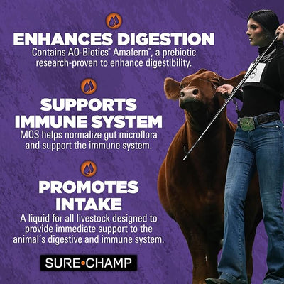 Vita Charge Liquid Boost, 32 Oz - Digestive Health Supplement for Beef Cattle, Sheep, Goats & Swine - Promotes Feed & Water Intake During Stress, Recovery & Weaning