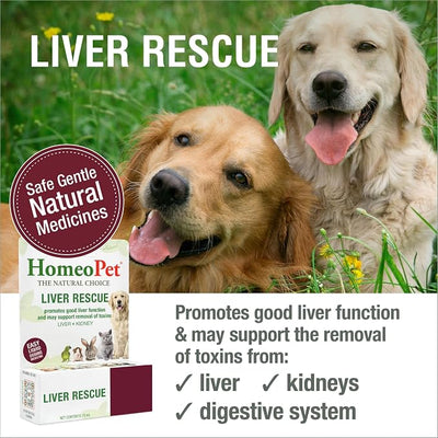 HomeoPet Liver Rescue Safe and Natural Liver-Support Supplement for Cats Dogs and Other Small Animals 15 Milliliters