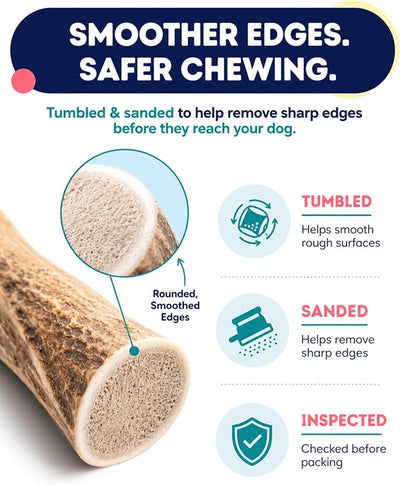 Onward Hound Elk Antlers for Dogs, 8 Inch+ XL Whole Antler Chew, Natural Dog Antler for Aggressive Chewers, Long Lasting Dog Chew, Single Ingredient, Low Odor No Greasy Mess, Made in USA, 1-Pack