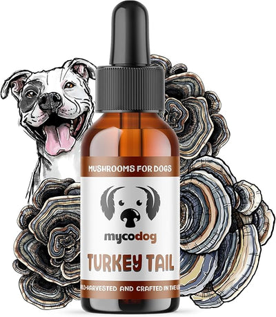 MycoDog Turkey Tail Mushroom for Dogs - Immune & Gut Health Support - Turkey Tail Supplement for Dogs - Daily Wellness Drops