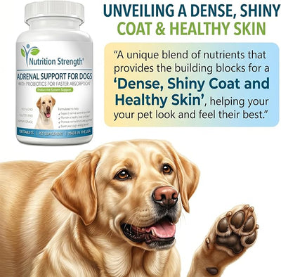 Adrenal Support for Dogs, Support for Dogs with Cushing's Disease, Maintain a Healthy Coat and Skin, Promote Normal Urination, Thirst and Appetite, 120 Chewable Tablets