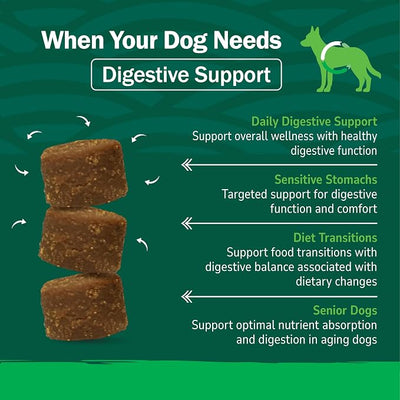 PetNC Natural Care Liver Flavor,Cheese Pre & Probiotic Soft Chews for Dog 120 ct (Packaging May Vary),(Pack of 2)