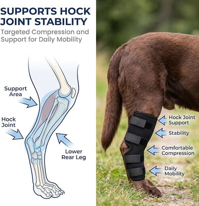 Dog Knee Brace for Hind Leg, Dog Hock Brace for Back Leg Support, Adjustable ACL CCL Brace for Dogs, Rear Leg Support for Joint Stability, Recovery & Mobility, Small Medium Large Dogs (Black, XL)