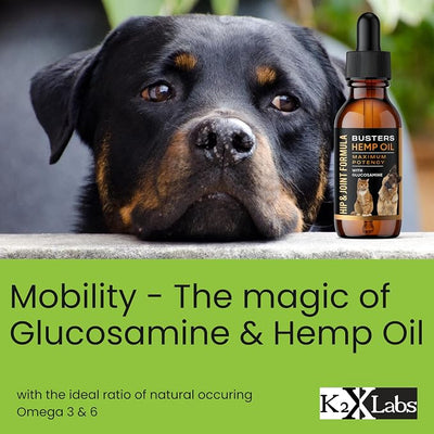 Busters Hemp Oil for Dogs with Glucosamine 2-Pack Dual-Action Joint Support + Calming,100mg Glucosamine + Organic Hemp Oil with Omega 3 6 9 — Bacon Flavor, Third-Party Lab Tested — Made in USA