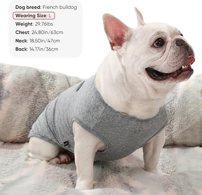 3 Pack Lightweight Sun Protection Dog Shirt Breathable Sleeveless Dog T Shirts Extra Soft Top Tank Dog Clothes for Outdoor Activities (Dark Gray + Sky Blue + Lake Blue, XXX-Large)