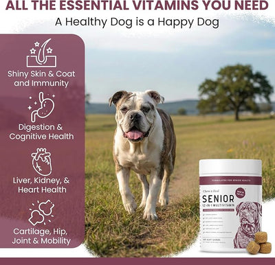 Senior Dog Vitamins and Supplements - 60 Soft Chew Multivitamin for Dogs | Hip and Joint Support, Advanced Formula with Glucosamine, Omega 3, 6, 9, Vitamins, & Probiotics