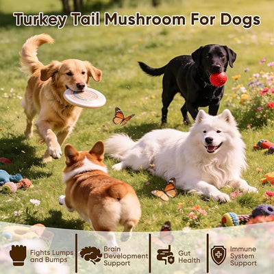 Turkey Tail Mushroom for Dogs - Mushroom Chews for Dog - Reishi, Lion’s Mane, Chaga - Immunity, Gut, Skin, Joint Support - All Breeds & Sizes - 120 Chews