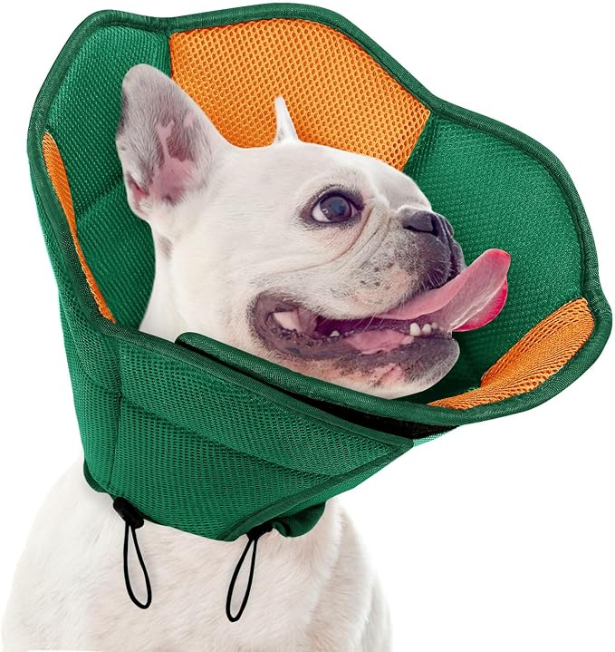 Dog Cone - Soft Cone for Dogs to Stop Licking, Pet E-Collar Alternative After Surgery, Adjustable Pet Recovery Collar for Wound Healing, Pine Green Medium