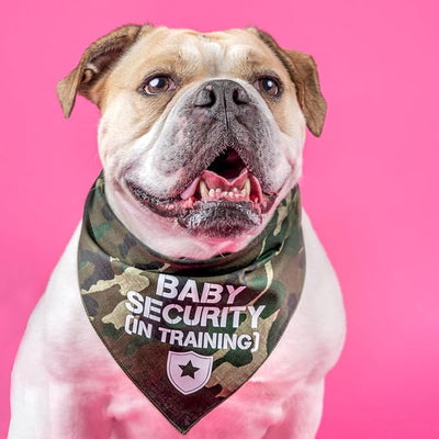 Baby Security in Training Dog Bandana | 100% Cotton Adjustable Triangle | Made in USA | New Baby | Pregnancy Announcement Photoshoot Prop | Gender Reveal | Hot Pink X-Small (223)