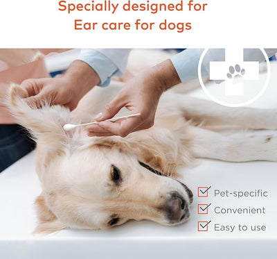 ARCA PET Cotton Swabs for Dogs and Cats - Cat & Dog Ear Cleaner Long Cotton Swab - Extra Large Cotton Head, Cat & Dog Ear Cleaning Kit for Puppies, Multipurpose Pet Cotton Swabs (Extra Large 100 Buds)