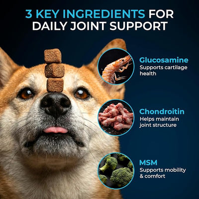 PET'S PALS Dogs Joint Health Supplement - Glucosamine, Chondroitin & MSM - Supports Healthy Joints - Chewable Tablets for Dogs - 30 Soft Chews