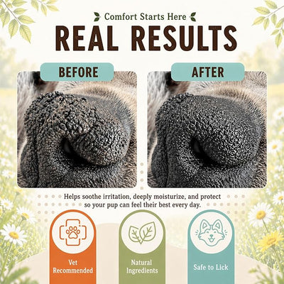 Natural Dog Company Snout Soother Dog Nose Balm – Moisturizer for Dry Crusty Noses, Summer Care for Outdoor Dogs, Hot Weather, Beach Days & Walks with Coconut Oil & Shea Butter, 2 oz Tin
