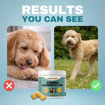 DOOD WOOF Dog Allergy Chews - Itch Relief for Doodles - Vet Formulated - 60 Count Soft Chew Supplement - Skin and Seasonal Allergy Support