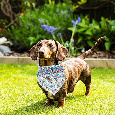 Lionheart Glory Floral Dog Bandana for Spring Summer - 1 Pack Washable Soft Scarf, Square Adjustable for Small Dogs
