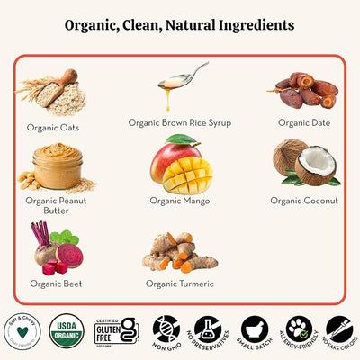 Lord Jameson Mango Pops 6 oz: Organic Soft & Chewy Dog Treats | Natural Puppy & Senior Treats | Easy Chew Hypoallergenic Dog Snacks | Gourmet Healthy Training Treats for Small & Large Dogs