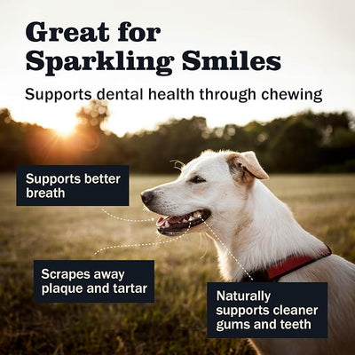 Redbarn Large Cheese n' Bacon Filled Bones Dog Treats 20-Pack - Premium Beef Femur Bones for Aggressive Chewers, Long Lasting Dog Chews for Large Dogs, Dental Health