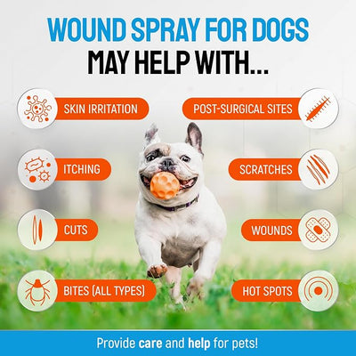 SILVER GRADE Dog Wound Spray Helps with Hot Spots, Irritations, Bites, Burns, Rashes, Itch, Scratching – Better Use with a Dog Cone to Stop Licking – Safe for Large and Small Breeds – 4 oz