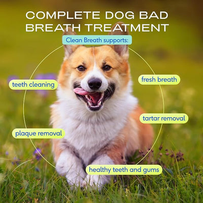 Native Pet Clean Breath Dog Dental Care - Teeth Cleaning for Fresh Breath, Clean Teeth & Healthy Gums - Tartar and Plaque Remover - Dog Breath Freshener - 120 Scoops