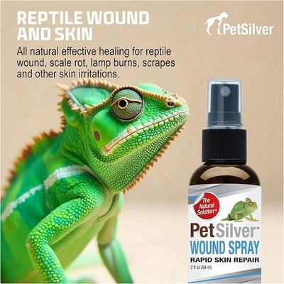PetSilver Reptile Wound Spray with Chelated Silver – Reptile Wound Care for Snakes, Lizards, Geckos – Burns, Sores, Irritations & Scale Rot Treatment – Non-Toxic & Safe – Made in USA – 2 fl oz