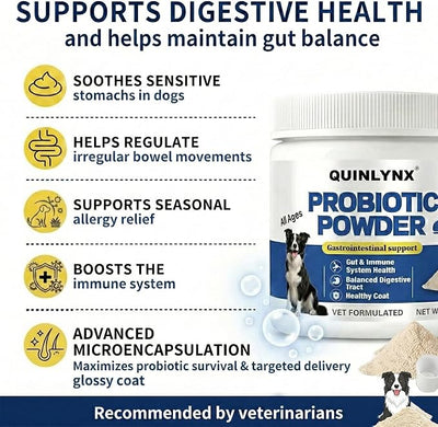 Natural Probiotic Powder for Dogs - Vet Formulated Digestive & Gut Health Supplement with 15 Probiotic Strains & 6 Billion CFU, Supports Immunity, Energy Levels, Skin and Coat Health, 30 Scoops