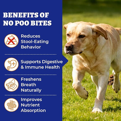 Wellix 260 Bites No Poo Chews for Dogs - Stool Eating Deterrent for Dogs Coprophagia Relief with Probiotics Digestive & Gut Health - Support Breath Freshener & Immune System, Chicken & Pumpkin Flavor