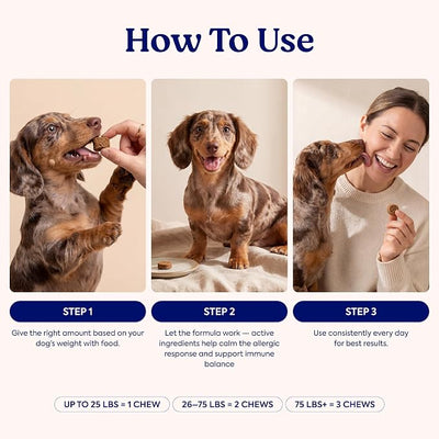 Allergy & Immune Chews for Dogs – Itch Relief Support – Allergy Supplement with Vitamins – Skin & Immune Support with Colostrum, Quercetin & Astragalus – 30 Soft Chews