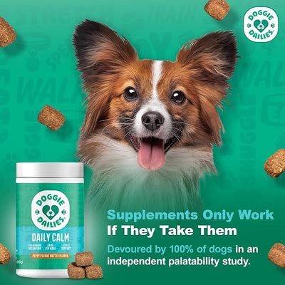 Doggie Dailies Calming Chews, Melatonin & Chamomile for Stress Relief, Relaxation & Anxiety (Peanut Butter, 225 Soft Chews)