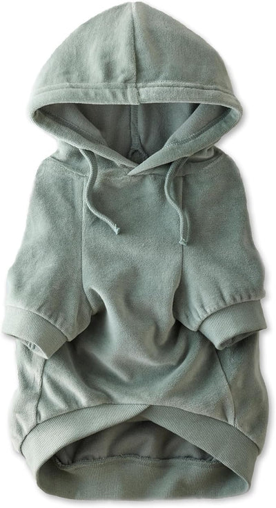Pet Passion Cooper II Organic Cotton Velour Dog Hoodie Pet Coat for Small, Medium and Large Dogs, Sage, Large (40-60 lbs)
