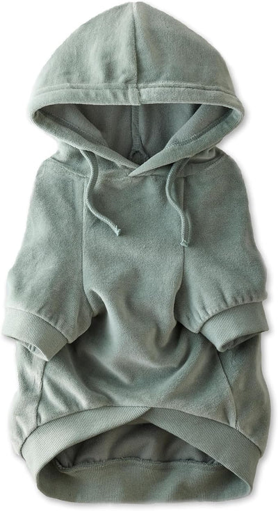 Pet Passion Cooper II Organic Cotton Velour Dog Hoodie Pet Coat for Small, Medium and Large Dogs, Sage, X-Large (55-80 lbs)