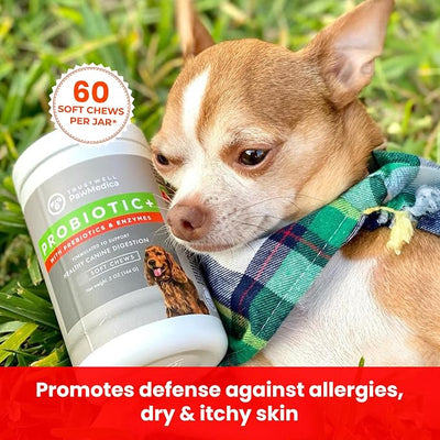 PawMedica Dog Probiotics and Digestive Enzymes, Probiotics for Dogs Made in USA, Pet Probiotic Chews for Dogs, Prebiotics & Probiotic Dog Digestive Support, Probiotic Treats - 60 Dog Probiotic Chews